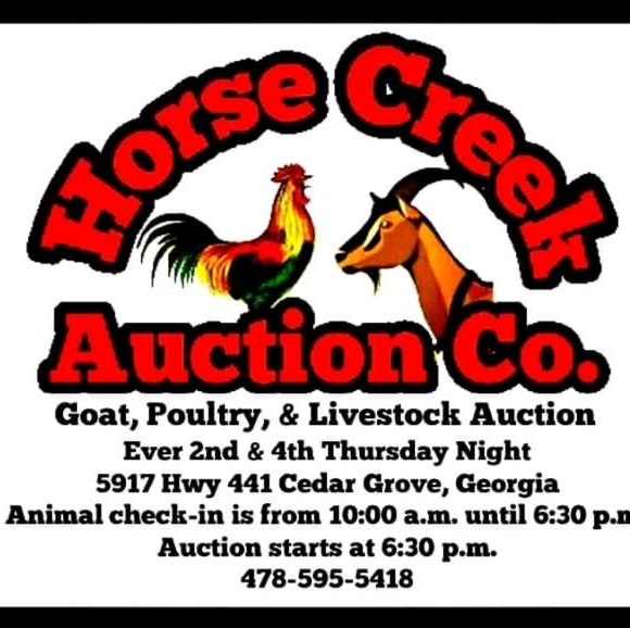 Meet your Posher, Daniel - Picture 1 of 1